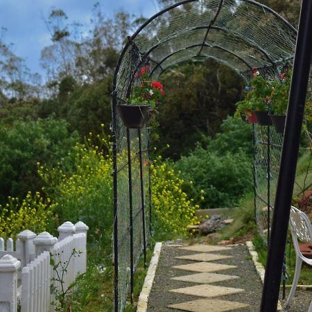 Newbury Villa Nuwara Eliya Zewnętrze zdjęcie